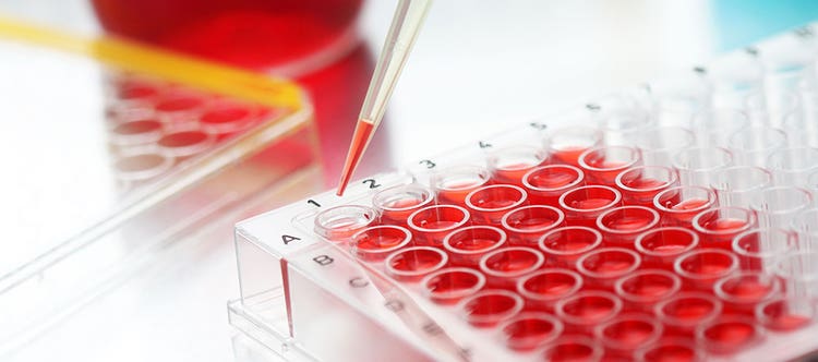 Collaboration is key to Advancing Cell and Gene Therapy