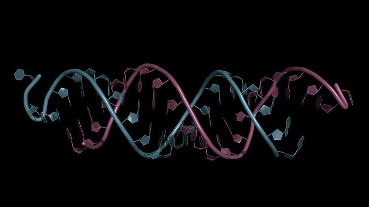 RNA Interference (RNAi) - Technology, Pathway and Applications