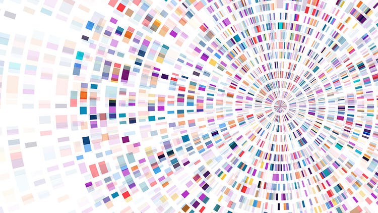 Genome Human Project