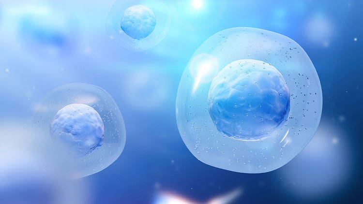 Phage Display Antibody Discovery