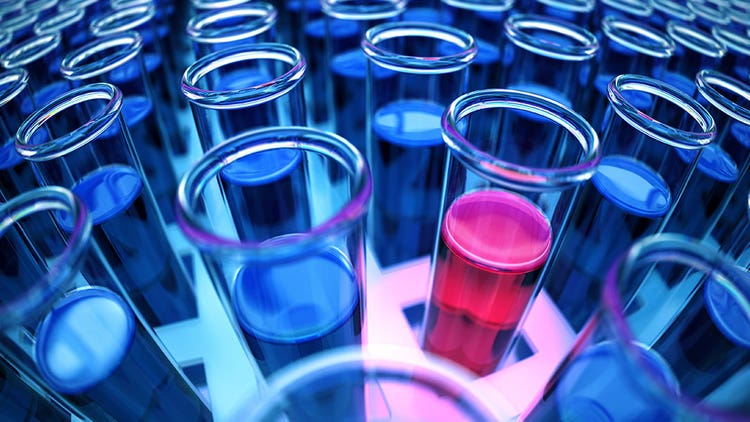 Drug Discovery Development Process