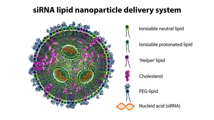 Small Interfering RNA (siRNA)