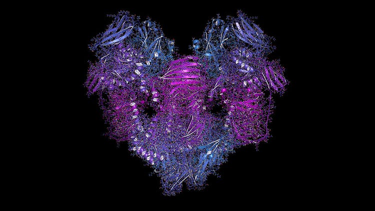 Reporter Genes: Types, Assays and Applications