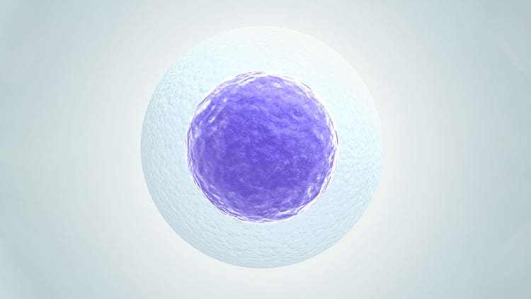 Single Cell Isolation