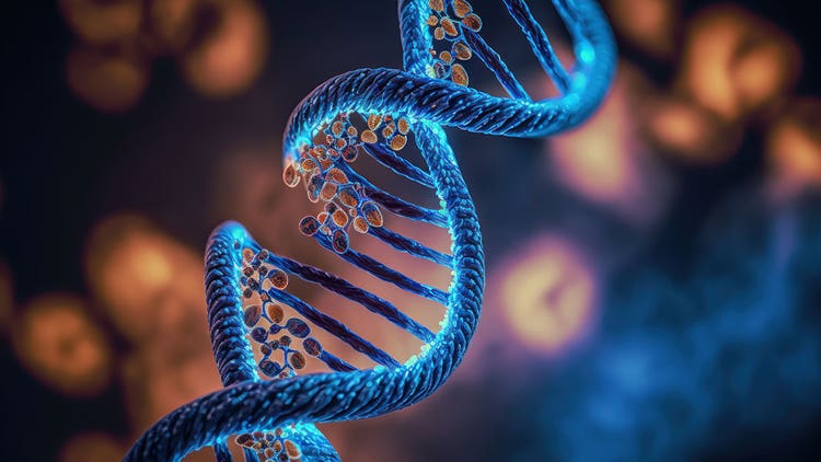 Restriction Enzymes (Restriction Endonuclease)