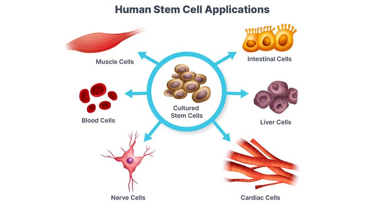 Stem Cell Applications
