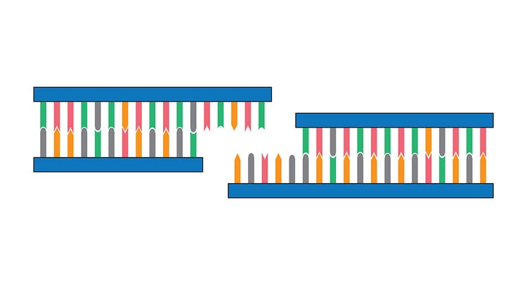 DNA Ligation