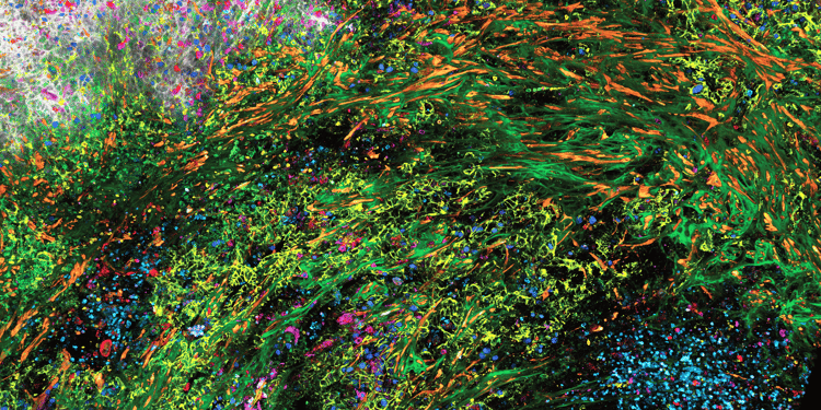 Spectraplex Naturemethods Keyvisual 2