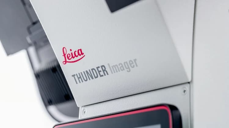 Csm_THUNDER_Imager_Live_Cell_Detail_Logo Product Name_ThunderShooting 1070581_6268fb3ff6