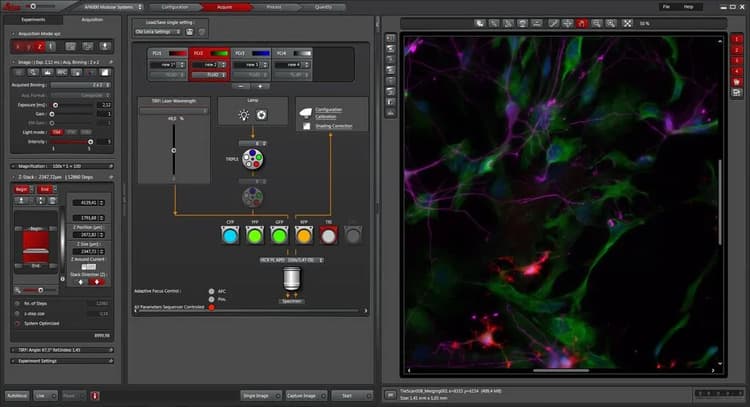Csm_lms Fluorescence Content LASAF_5518d3f0d2