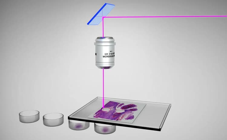 Csm_lmd7 Move Laser_05_924b2fec78