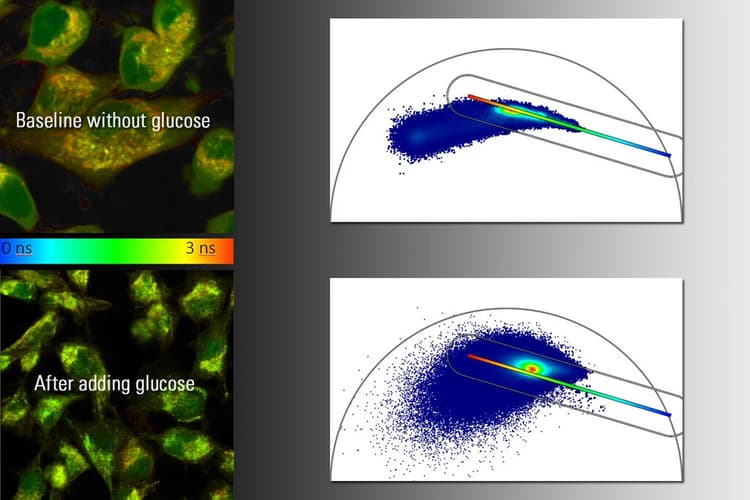 Csm_combining Multiphoton Img_7f83182812