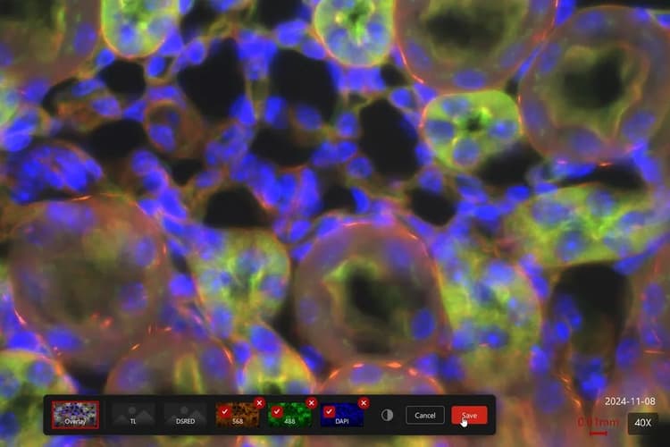 Csm_Enersight Multi Channel Fluorescence_e222f62bc4