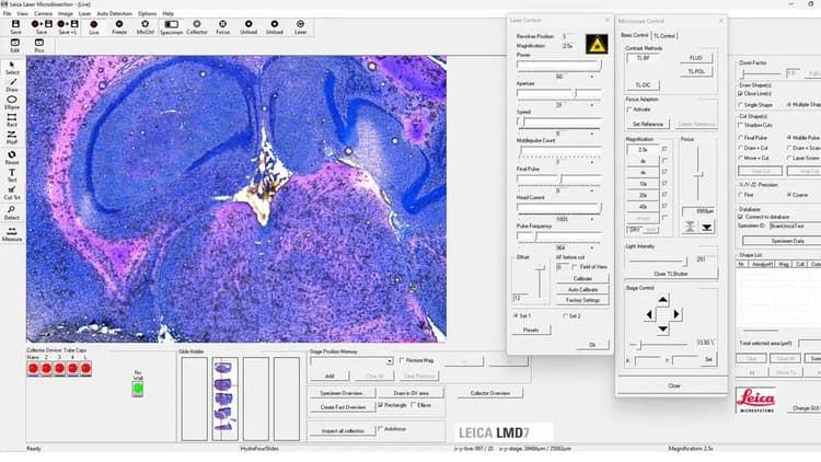 Csm_LMD Software_MainInterface_70d4388cee