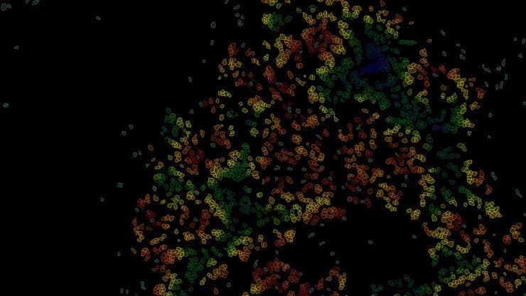 Csm_Heatmap Of Nearest Neighbor Aivia Software_915a14898b