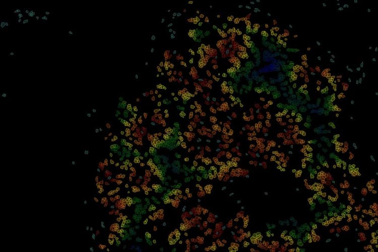 Csm_Heatmap Of Nearest Neighbor Aivia Software_67c81b8620