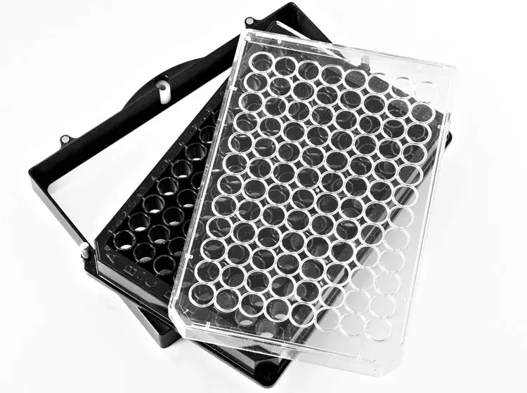 Leica Microsystems Dm Il Led Live Cell Imaging Product Image5