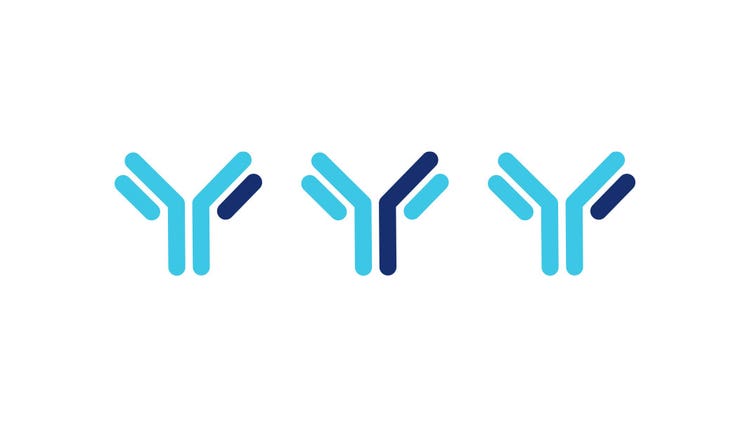 antibody-characterization