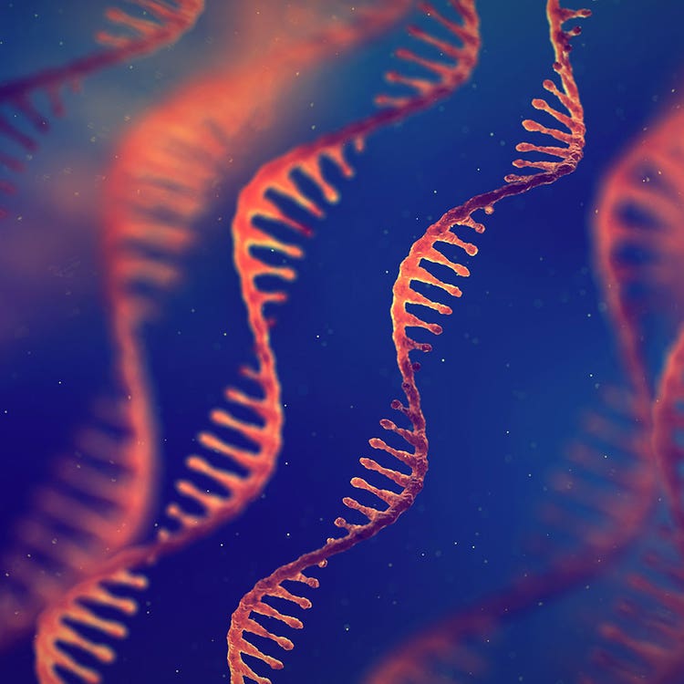 mRNA