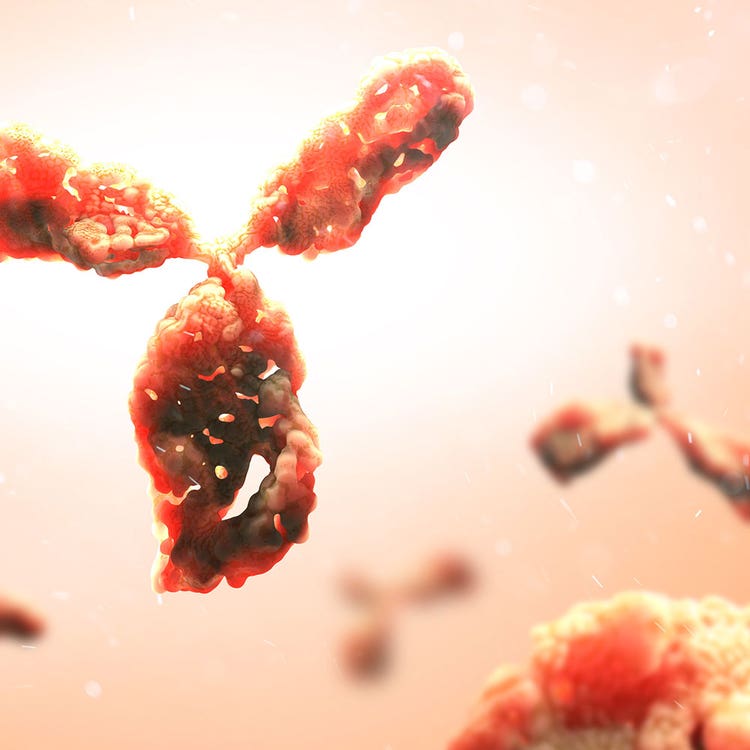 Monoclonal Antibodies